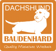 Baudenhard Dachshunds